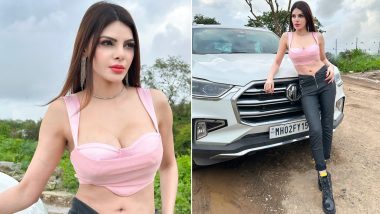 Sherlyn Chopra ने पिंक ब्रालेट पहन दिए किलर पोज, एक्ट्रेस की हॉटनेस ने फैंस को किया मदहोश (View Pics)