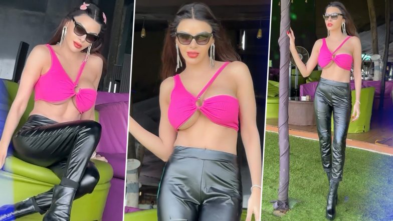 Sherlyn Chopra ने पिंक ब्रालेट पहन दिए सेक्सी पोज, एक्ट्रेस का किलर अवतार देख घायल हुए यूजर्स (Watch Video)