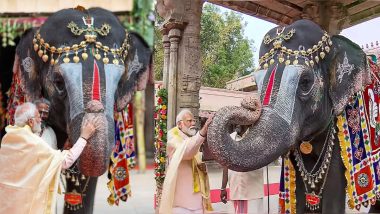 World Elephant Day 2024: विश्व हाथी दिवस पर PM मोदी ने शेयर कीं हाथियों की खूबसूरत तस्वीरें, संरक्षण के प्रति जताई प्रतिबद्धता