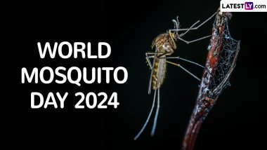 World mosquito Day 2024: कब और क्यों मनाते हैं विश्व मच्छर दिवस? जानें इसका इतिहास, महत्व एवं मच्छर जनित बीमारियां!