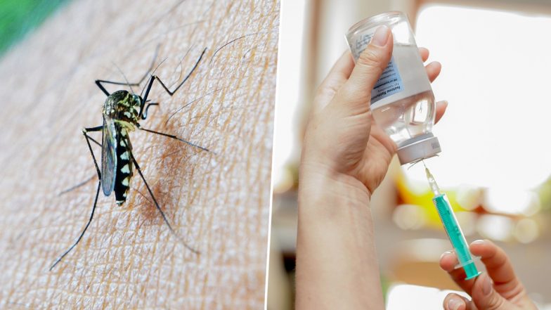 Dengue Vaccine: देशवासियों को जल्द मिलेगी डेंगू वैक्&zwj;सीन, 'DengiAll' के तीसरे चरण का ट्रायल शुरू