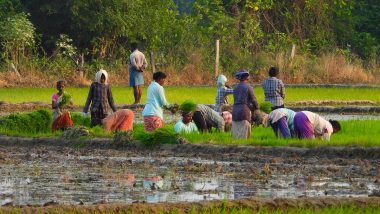 Pradhan Mantri Kisan Samman Nidhi News: पीएम किसान योजना की अगली किस्त कब आएगी? जल्द कर ले ये काम, नहीं तो अटक जाएगी राशि