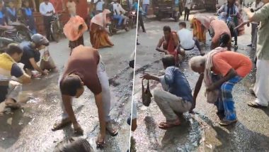 Bihar: कटिहार में बीच सड़क पर मछलियों की लूट, सोशल मीडिया पर वायरल हुआ Video