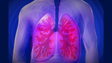 Lung Cancer: कैंसर से होने वाली मौतों में लंग कैंसर के 22 फीसद मामले, यहां देखें रोकथाम के उपाय