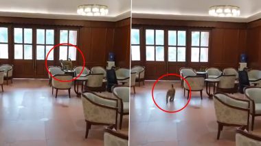 Monkey Inside Parliament Video: संसद परिसर में घुसा बंदर, सांसदों की लॉबी में घूमता आया नजर