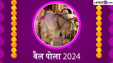 Pola Festival 2024: कब और कैसे मनाते हैं बैल पोला उत्सव? जानें इसका इतिहास, महत्व एवं सेलिब्रेशन का तरीका!