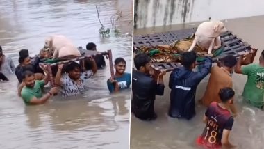 Gujarat Flood: बाढ़ में फंसे कुत्ते को लोगों ने किया रेस्क्यू, पशु प्रेमी जानवर को कंधों पर उठाकर ले जाते दिखे- Video