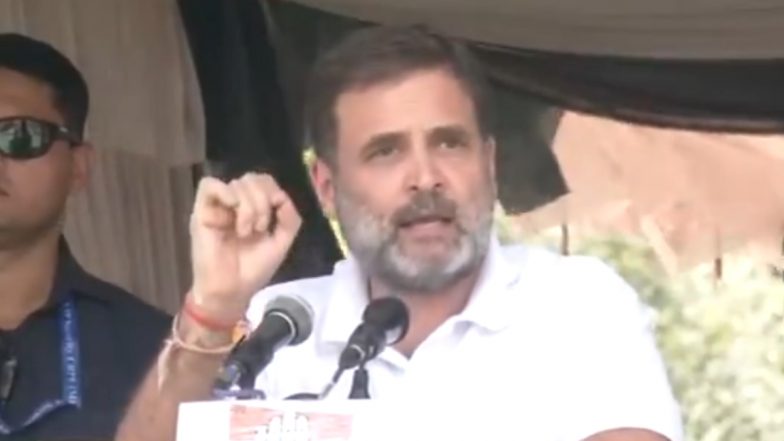 Rahul Gandhi: 'चुनाव के बाद अब खत्म हो गया डर', वर्जीनिया के हर्नडन में बोले राहुल गांधी (Watch Video)