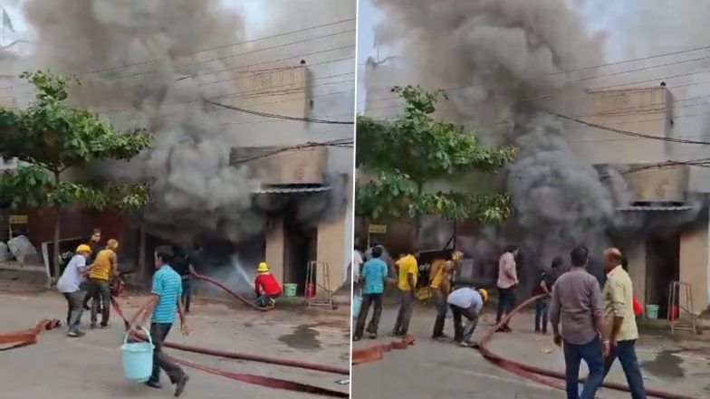 Video: छत्तीसगढ़ के बिलासपुर में पटाखे के गोदाम में लगी भीषण आग, फायर ब्रिगेड की टीम ने आग पर पाया काबू