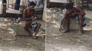 Drunk Man Pets Cobra Video: नशे में धुत शख्स ने कोबरा के साथ किया खिलवाड़, देखें वायरल वीडियो