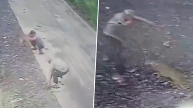 Jackal Attack Video: मध्यप्रदेश के सीहोर में सियार का आतंक, अब तक 6 लोगों पर किया हमला