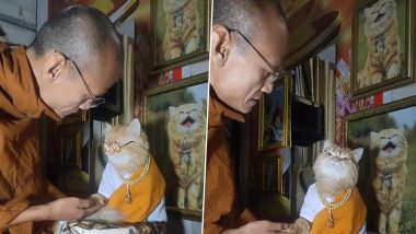 Buddhist Cat Receiving Lessons: बौद्ध भिक्षु द्वारा बिल्ली को धर्म की शिक्षा देते हुए क्यूट वीडियो वायरल