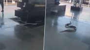 Snake Found On Rishikesh Station: ऋषिकेश स्टेशन के प्लेटफॉर्म पर तेजी से रेंगता दिखा खतरनाक सांप मिला, देखें वायरल वीडियो