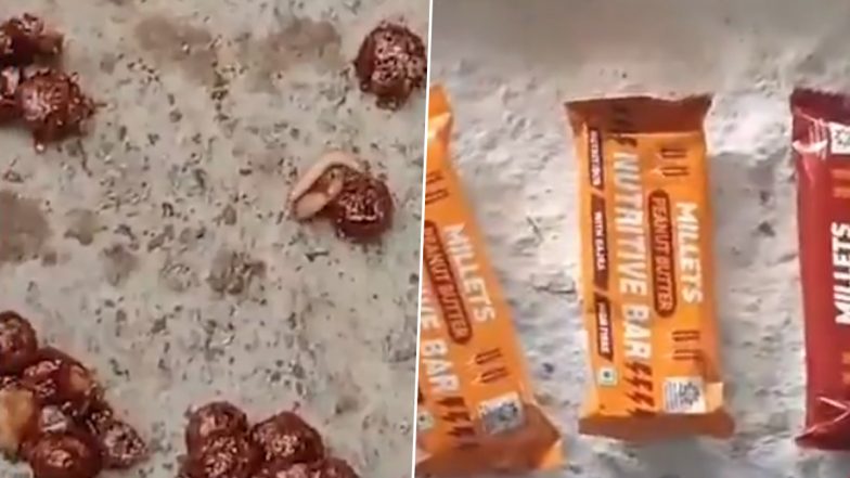 Video: छात्रों की सेहत के साथ खिलवाड़, स्कूल के Mid Day Meal में दी जानेवाली चॉकलेट में निकली इल्लियां, धुले जिले के जिला परिषद की स्कूल में लापरवाही