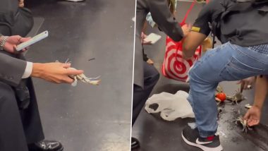 Live Crabs Released In NYC Subway: न्यूयॉर्क सिटी सबवे में रेंगने लगे जिंदा केकड़े, उसके बाद जो हुआ देखें वीडियो