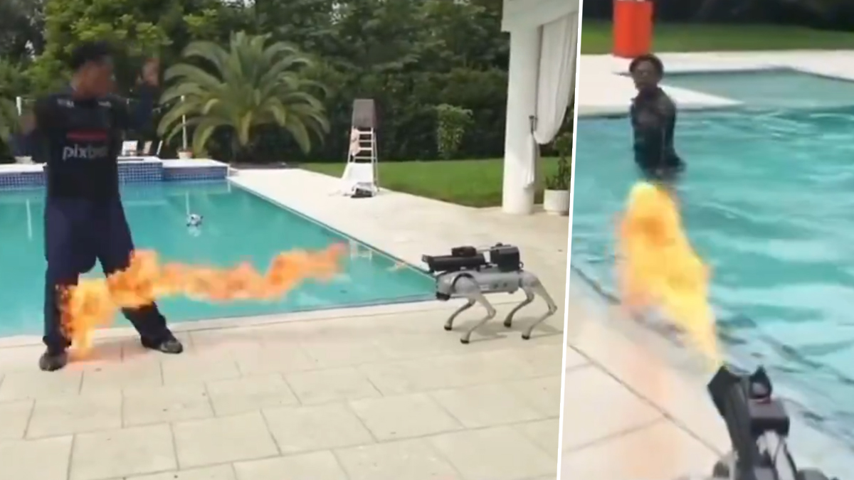 Robot Dog Exploding Robot Dog Shot Flames at YouTuber: लाइव शो के दौरान खराब हुए रोबोट डॉग ...