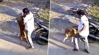 Shocking Video: आवारा कुत्ते को शख्स ने एक मिनट तक सहलाया, अचानक डॉग ने किया हमला- देखें वीडियो