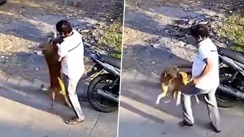 Shocking Video: आवारा कुत्ते को शख्स ने एक मिनट तक सहलाया, अचानक डॉग ने किया हमला- देखें वीडियो