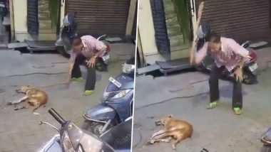 Man Beats Dog With Stick Video: मुरादाबाद में डेयरी मालिक ने सड़क पर आवारा कुत्ते को बेरहमी से पीटा, बेजुबान जानवर ने तोड़ा दम