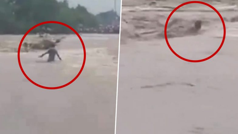 Video: उफनती नदी पार करना युवक को पड़ा महंगा, नदी में डूबने से हुई मौत, यवतमाल जिले के पूस नदी की घटना, वीडियो आया सामने