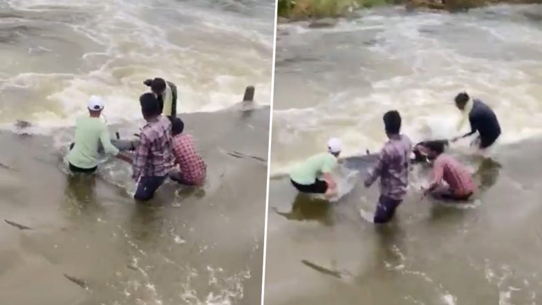 Video: उफनती नदी पार करना युवकों को पड़ा महंगा! बह गई बाइक, लड़कों की बाल बाल बची जान, झांसी के गौरारी गांव की घटना