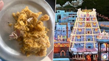 Tobacco in Tirupati Laddu: तिरुपति के लड्डू में अब तंबाकू मिलने का दावा, पशु चर्बी विवाद के बीच सामने आया नया VIDEO