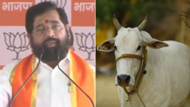 Cow Announced Rajyamata: महाराष्ट्र की शिंदे सरकार का बड़ा फैसला, गाय को दिया राज्यमाता का दर्जा; यहां पढें पूरा आदेश