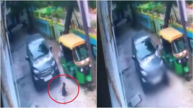 VIDEO: कानपुर में 3 साल की बच्ची को SUV ने कुचला, मौके पर हुई मौत, दर्दनाक हादसे का वीडियो आया सामने