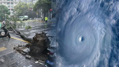 Shanghai China Typhoon Video: चीन में बेबिंका टाइफून ने मचाई तबाही! शंघाई पर 75 सालों में सबसे ताकतवर तूफान का हमला