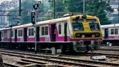 Mumbai: पश्चिम रेलवे के टिकट चेकर पर यात्री ने हॉकी स्टिक से किया हमला, जानें पूरा मामला