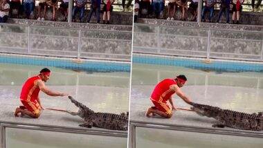 Man Putting Hand In Crocodile's Mouth Video: मगरमच्छ के मुंह में हाथ डाल रहा था शख्स, उसके बाद हुआ कुछ ऐसा