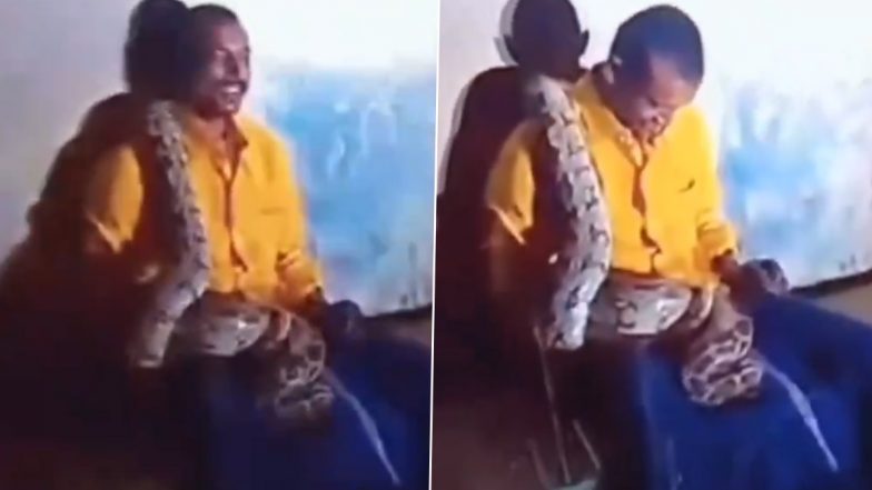 Python Climbs On Drunk Man: नशे में धुत व्यक्ति पर चढ़ा विशाल अजगर, दिल दहला देने वाला वीडियो वायरल