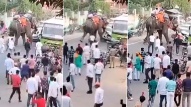 Chhapra Elephant Video: बिहार के छपरा में बीच सड़क पर गजराज ने मचाया उत्पात, खिलौने की तरह कार को तहस नहस किया, लोग जान बचाकर भागे, एक की मौत