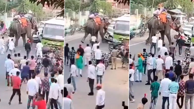 Chhapra Elephant Video: बिहार के छपरा में बीच सड़क पर गजराज ने मचाया उत्पात, खिलौने की तरह कार को तहस नहस किया, लोग जान बचाकर भागे, एक की मौत