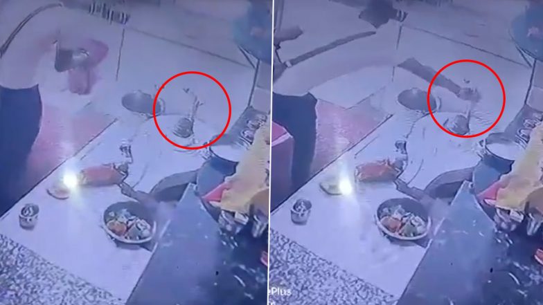 Video: चोरों के हौसले बुलंद! मंदिर को भी नहीं बक्शा, सहारनपुर के शनि मंदिर से चांदी का नाग चुरा ले गया चोर, सीसीटीवी फुटेज में कैद हुई घटना