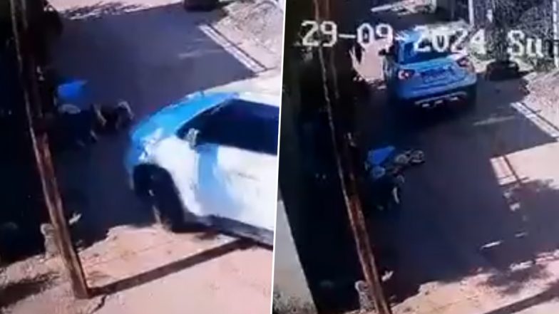 Video: बिलासपुर में कार चालक की लापरवाही! गाय के छोटे से बछड़े पर चढ़ा दी कार, मौके पर ही बेजुबान ने तोड़ा दम