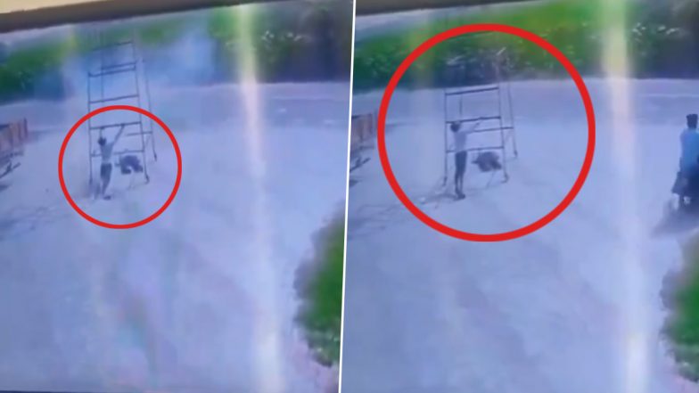 Video: हाईटेंशन तार को छु गई लोहे की सीढ़ी, चपेट में आएं मजदुर, जिंदा जला एक शख्स, दुसरे की हालत गंभीर, मथुरा का वीडियो आया सामने