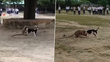 Monkey and Dog Fight Video: कॉलेज कैंपस में बंदर और कुत्ते की हुई जमकर लड़ाई, एक दूसरे को मारने को उतारू हुए दोनों