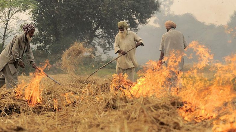 पंजाब में अबतक पराली जलाने की घटनाओं में 16 प्रतिशत की कमी आयी