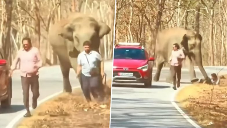 Viral Video: दो लोगों के पीछे पड़ा हाथी, जान बचाकर भागे दोनों, एक शख्स गिरा नीचे ...देखे फिर क्या हुआ