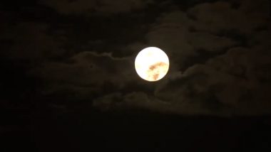 Supermoon 2024: दिल्ली में दिखा साल का सबसे बड़ा और चमकदार पूर्णिमा का चांद, वीडियो सामने आया