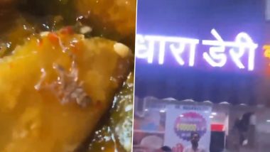 Video: लोगों के स्वास्थ से हो रहा है खिलवाड़! गाजियाबाद में खाने के लिए ग्राहक ने ख़रीदे समोसे में से निकली मकड़ी, ग्राहक ने की सख्त कार्रवाई की मांग