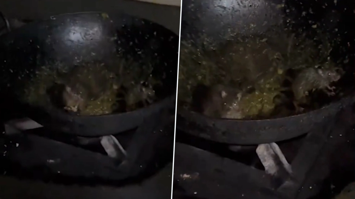 Rats Found Roaming in Utensils at Mess Video राधाकृष्ण भवन में मेस