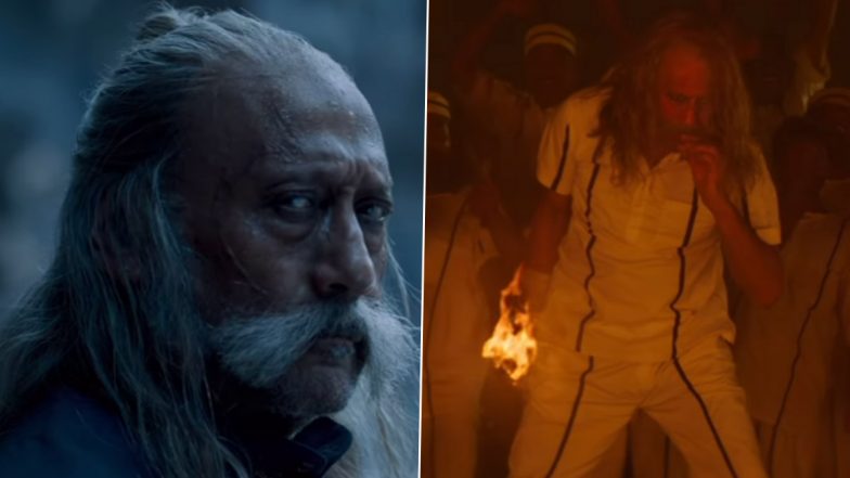 Baby John: वरुण धवन की फिल्म 'बेबी जॉन' में मुख्य खलनायक 'बब्बर शेर' की भूमिका में नजर आएंगे जैकी श्रॉफ, फिल्म 25 दिसंबर को होगी रिलीज (Watch Video)