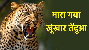 Leopard Shot Dead: राजस्थान में मारा गया आदमखोर तेंदुआ! उदयपुर में वन अधिकारियों ने मारी गोली, लोगों ने ली राहत की सांस