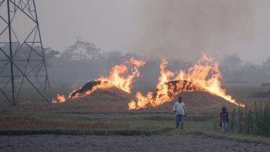 Stubble Burning: पराली जलाने की घटना पर सख्त हुआ CAQM, सरकारी अधिकारियों पर कार्रवाई के दिए आदेश