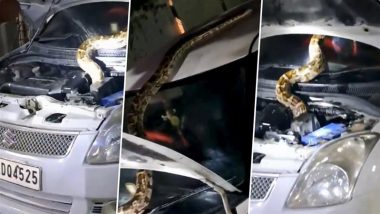 Python Found in Car Bonnet: यूपी के देवरिया में कार के बोनट में मिला विशालकाय अजगर, देखने के बाद लोगों के छूटे पसीने, फिर ऐसे किया गया रेस्क्यू, देखें VIDEO