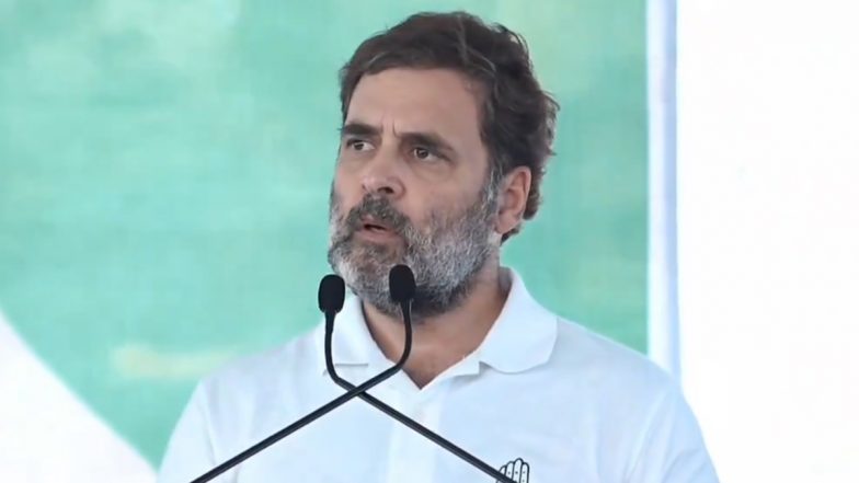 Haryana Elections: अंबानी ने शादी पर करोड़ों खर्च किए, ये जनता का पैसा...', हरियाणा में बोले राहुल गांधी