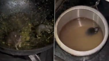 Rats Found in IIT Roorkee Mess Food: आईआईटी रुड़की में छात्रों के स्वास्थ्य के साथ खिलवाड़! मेस के खाने में मिले जिंदा चूहे; देखें VIDEO