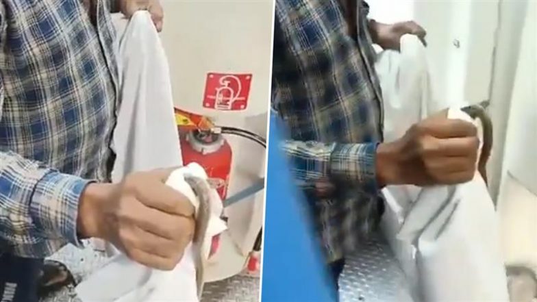 Viral Video: ट्रेन के एसी कोच में फन फैलाकर बैठे सांप को देख चीख पड़े यात्री, फिर जो हुआ&hellip; देखकर आप भी हो जाएंगे हैरान